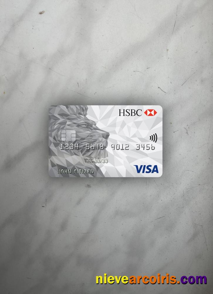 United Kingdom HSBC visa classic card photolook